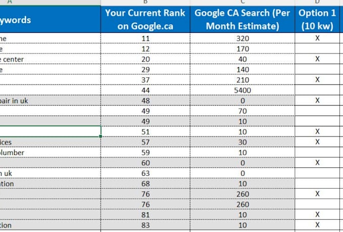 do website onpage and technical SEO